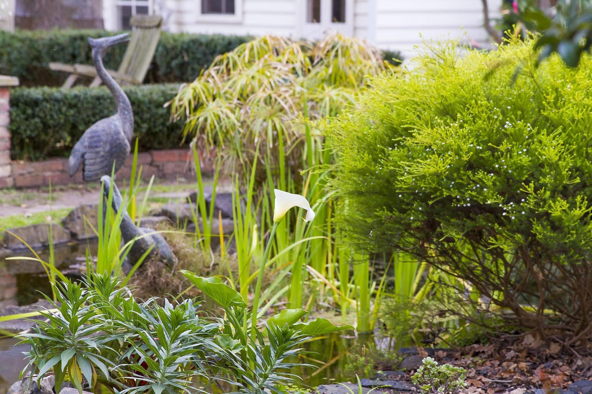 Glen Isla House Bed & Breakfast Phillip Island Cowes Exterior foto